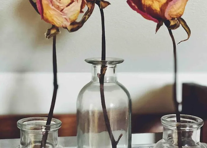 Apartment Le Grenier De Lucie Duplex, Wi-fi *