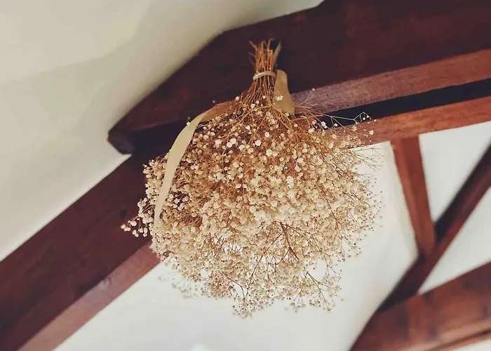 Le Grenier De Lucie Duplex, Wi-fi Apartment